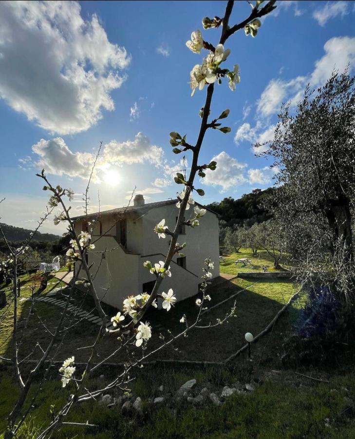 Agriturismo Il Sorbo Appartamento Menta Sticciano Exterior photo